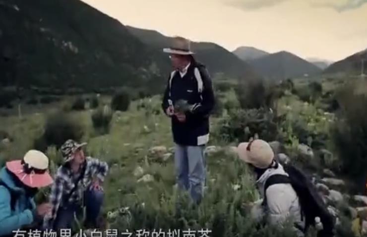 感动中国2019新的一期